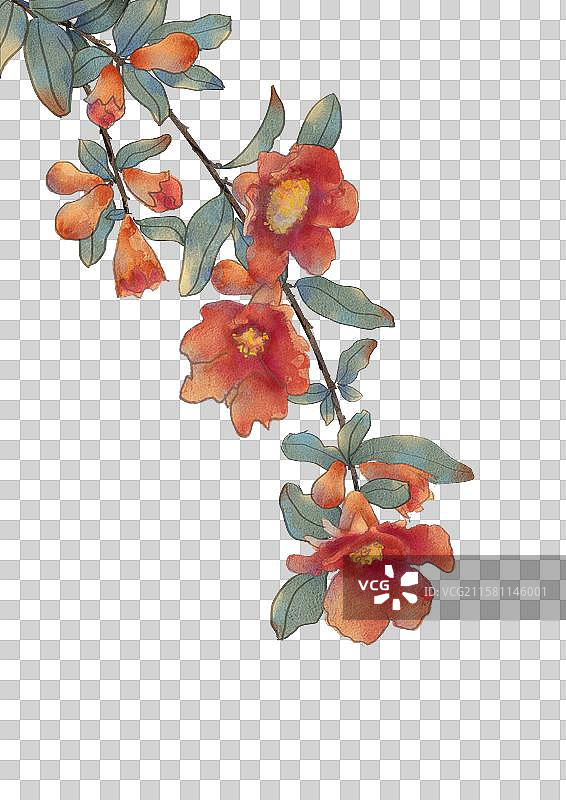 黑色背景下的花朵特写镜头图片素材