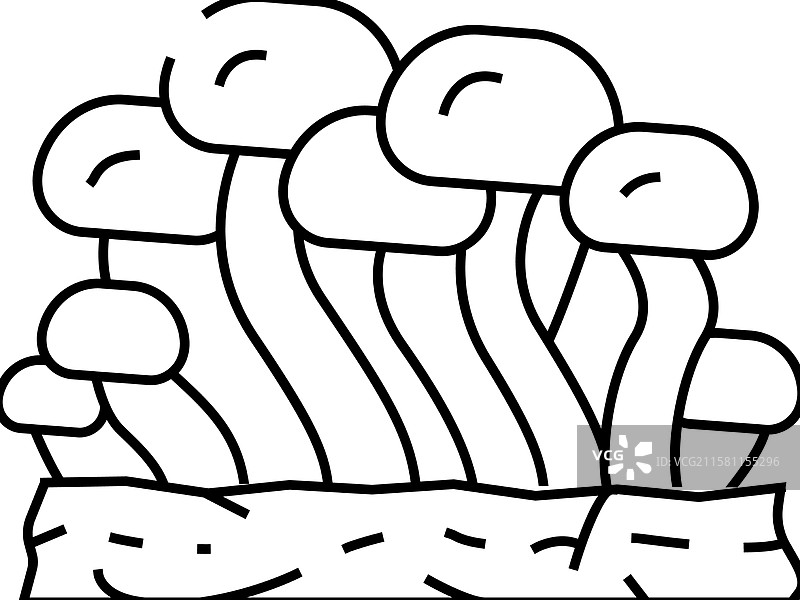 香菇线条图标图片素材