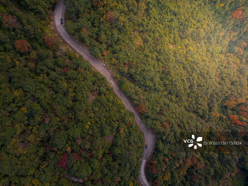 福建省漳州市平和县灵通山蜿蜒山林中的公路图片素材