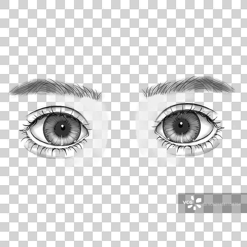 明亮的眼睛特写双眼皮眉毛卧蚕爱护眼睛素描免抠元素图片素材