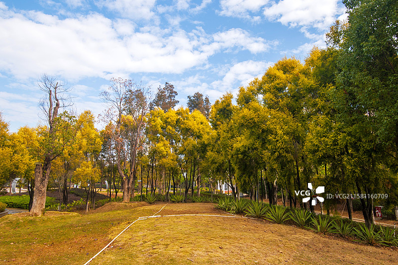 泉州泉港区锦绣湖文化公园图片素材