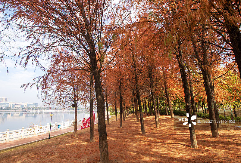 泉州泉港区锦绣湖文化公园图片素材