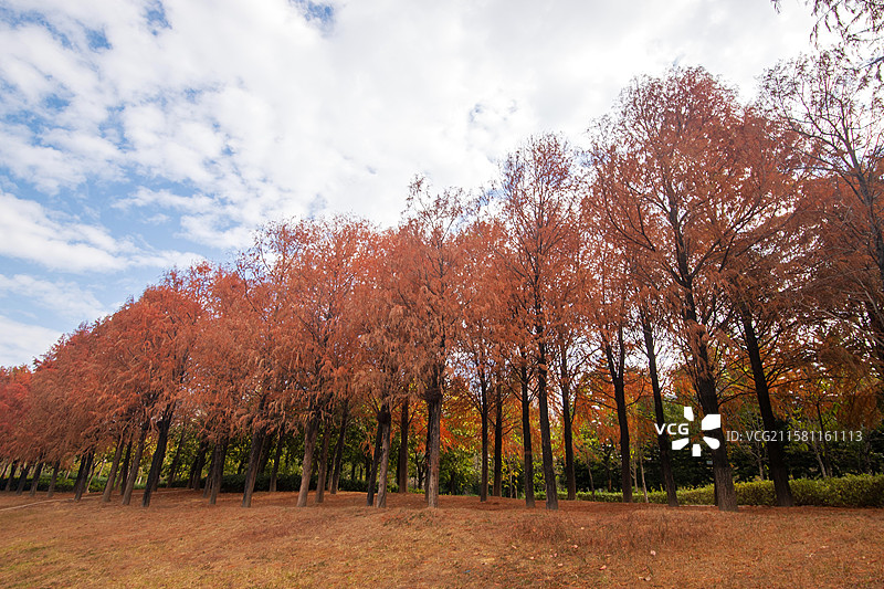 泉州泉港区锦绣湖文化公园图片素材