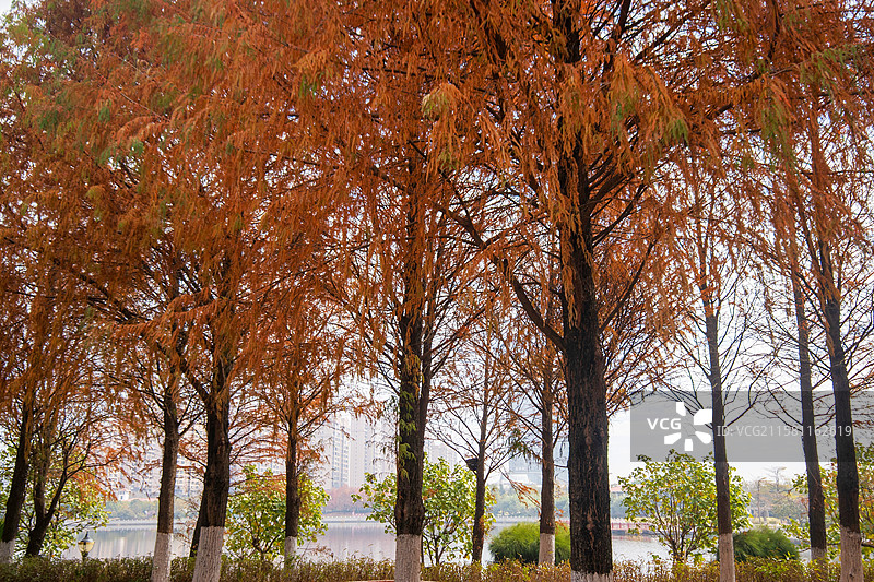 泉州泉港区锦绣湖文化公园图片素材