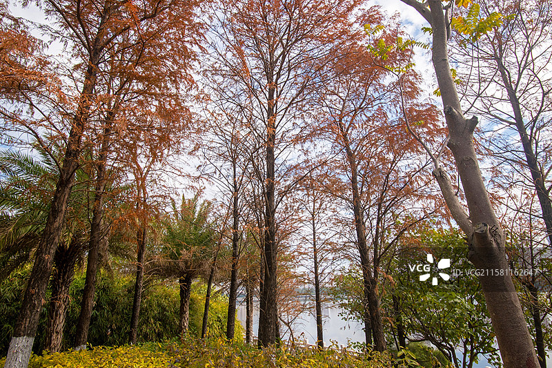 泉州泉港区锦绣湖文化公园图片素材