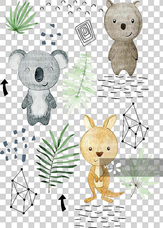 澳大利亚动物的水彩海报图片素材