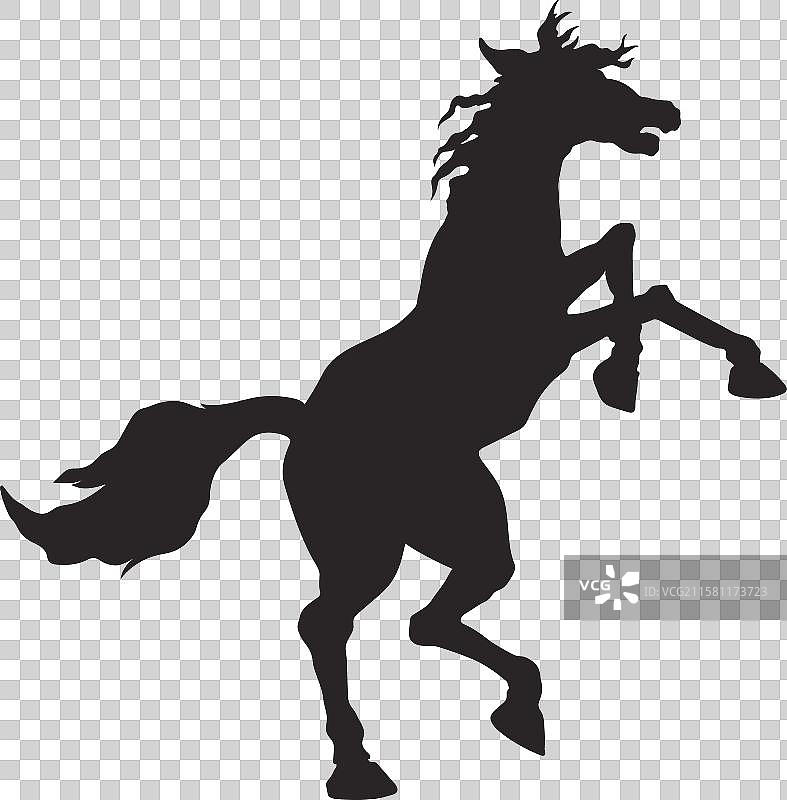 黑色剪影的腾空而起的野马图片素材