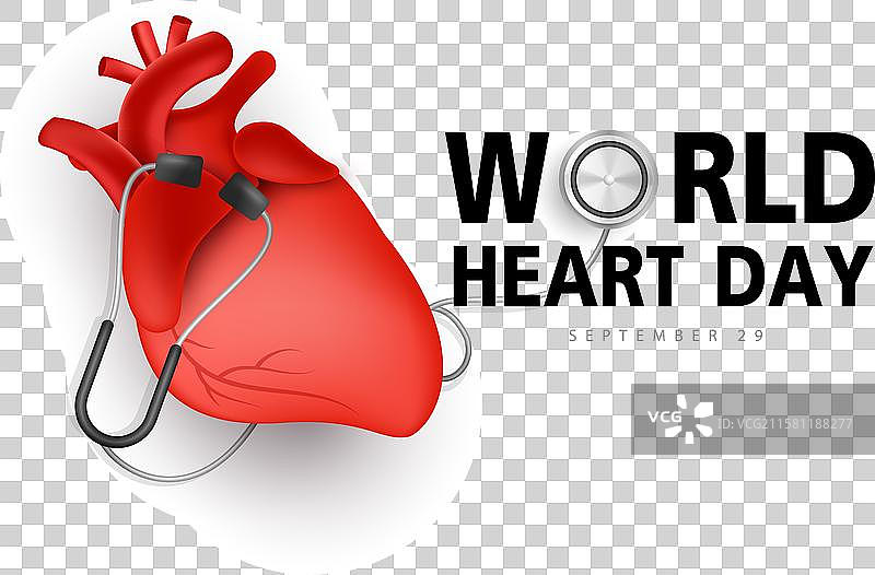 世界心脏日概念，听诊器与心脏图案图片素材