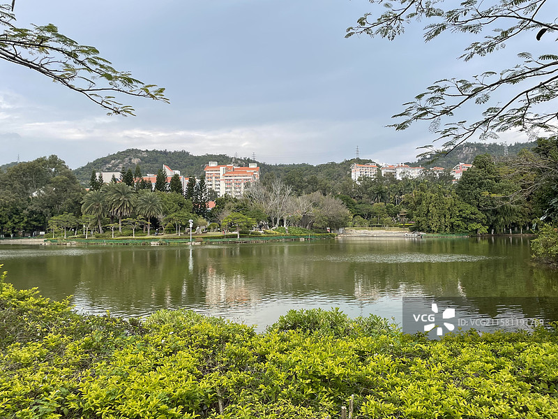 福建省厦门大学思明校区芙蓉湖景色图片素材