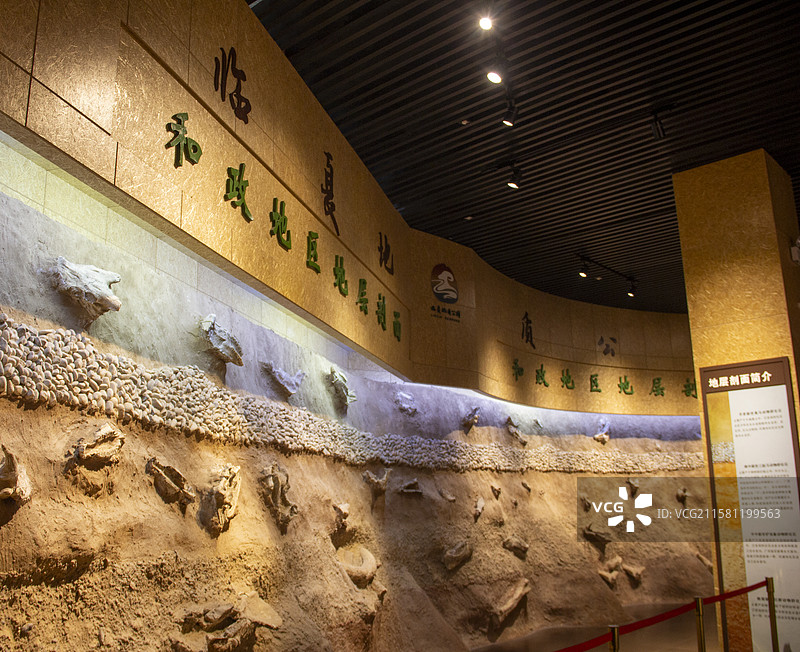 甘肃省临夏和政县古生物化石博物馆内部图片素材