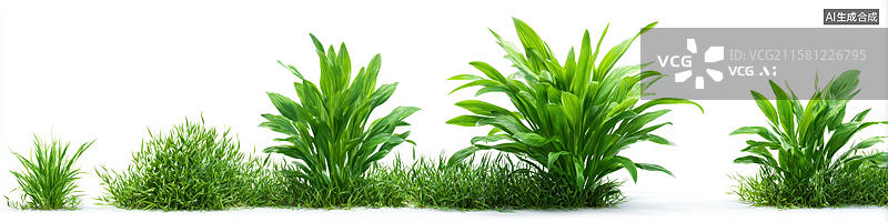 【AI数字艺术】三种不同绿色植物组合生长图片素材