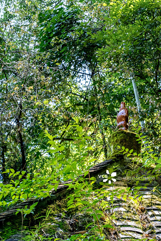 山谷里的土地庙 竹林深处的山神庙 村落社庙神祠祭祀点 福建三明寨下大峡谷 毛竹林图片素材