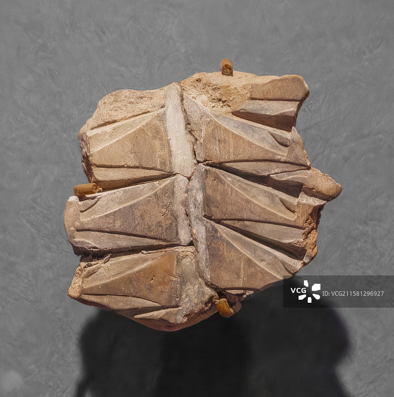 陕西历史博物馆藏西周文物箭镞范图片素材