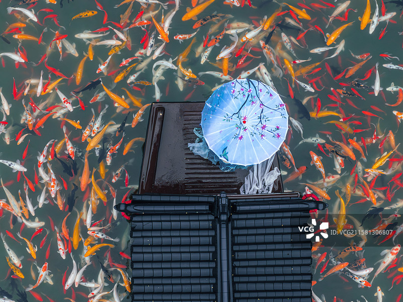 江西葛仙村旅游景区鲤鱼池航拍图片素材