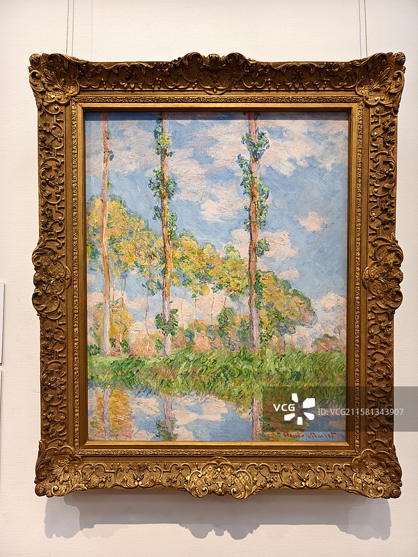 克劳德·莫奈 (1840年-1926年) 阳光下的白杨林荫道 1891年 油彩、画布图片素材