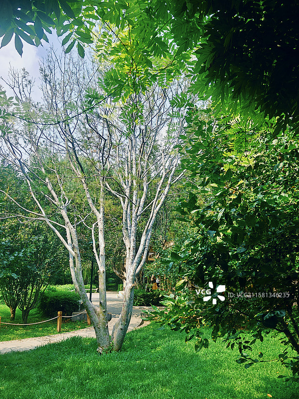 玉渊潭公园 留春园图片素材