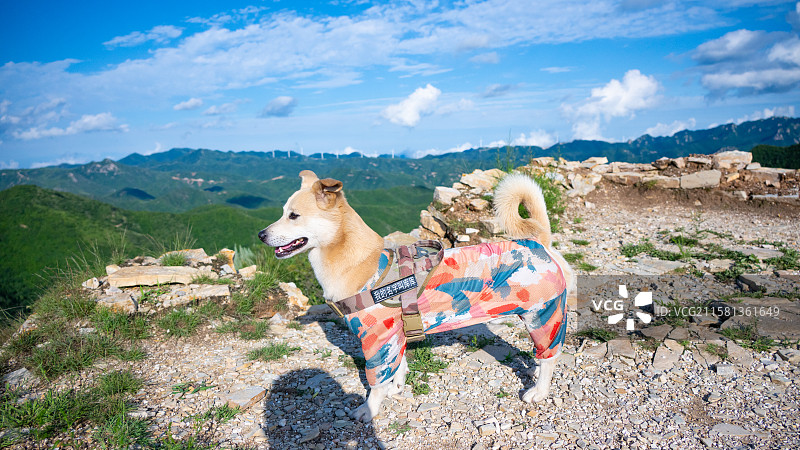 样边长城风光图片素材