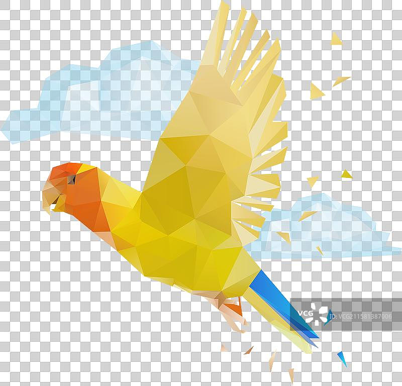 多边形鹦鹉图片素材