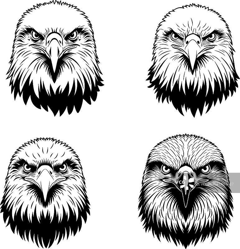 可爱的鹰的艺术作品图片素材