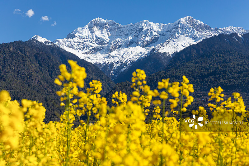 西藏林芝市波密县易贡县春天的风景图片素材