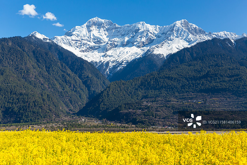 西藏林芝市波密县易贡县春天的风景图片素材