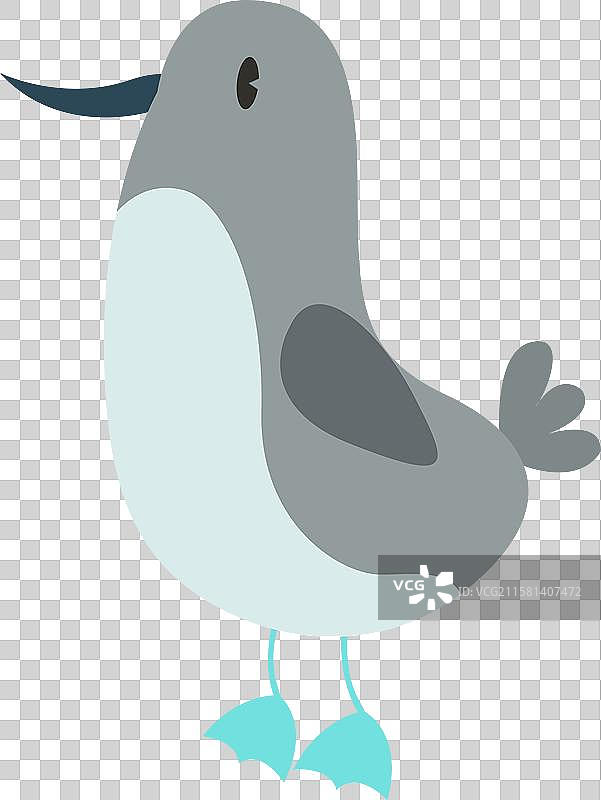 手绘扁平化鸟类插画蓝脚鲣鸟图片素材