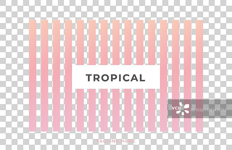 淡色调的名片图片素材