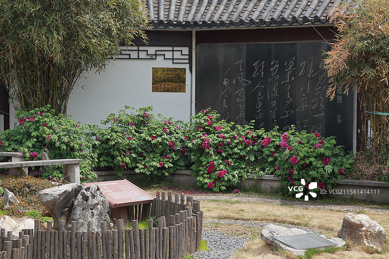 镇江南山文苑学林轩与牡丹图片素材