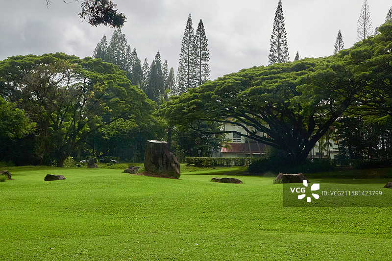 夏威夷风光 - 希洛的海边日式公园图片素材