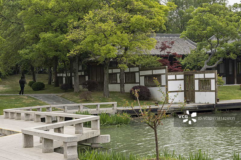 扬州瘦西湖园林风光与湖面上的曲桥图片素材
