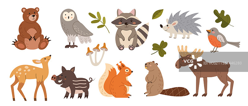 可爱的森林角色，儿童动物卡通鸟图片素材