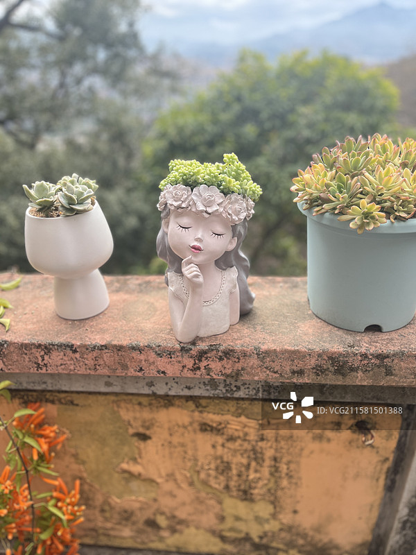 多肉女孩图片素材