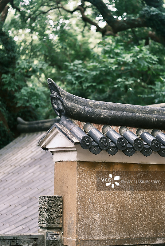 普陀山法雨禅寺图片素材