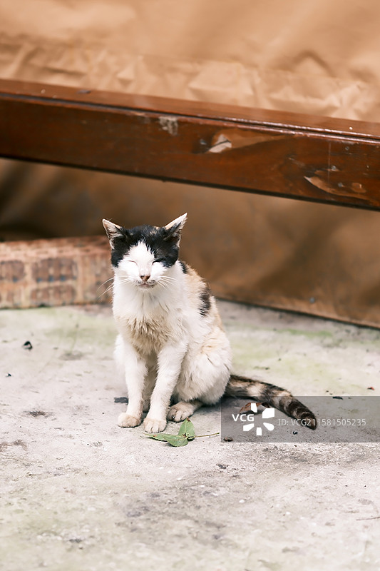 普陀山法雨禅寺图片素材