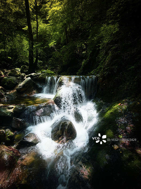 山清水秀 牛背梁国家森林公园图片素材