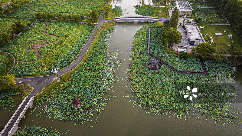 航拍安徽省芜湖市湾沚区陶辛水韵风景区风光图片素材