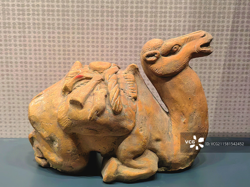 廊坊市博物馆馆藏文物唐代文安县董满墓镇墓兽陶制跪卧骆驼雕塑图片素材