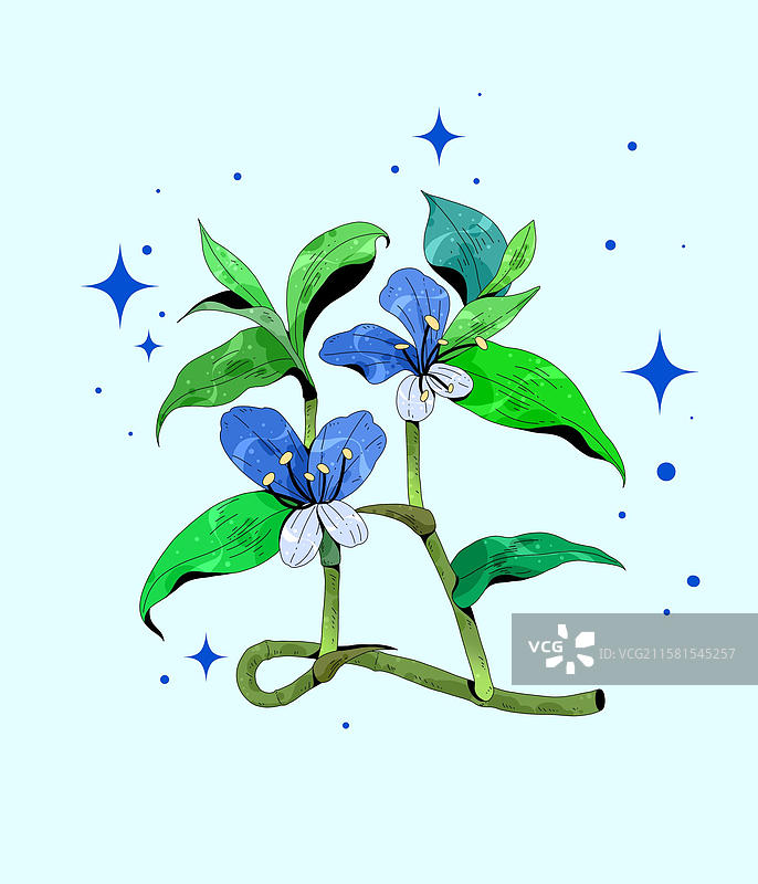 中草药植物插画元素-鸭跖草图片素材