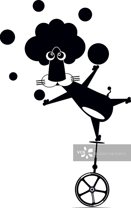 搞笑的狮子在独轮车上保持平衡图片素材