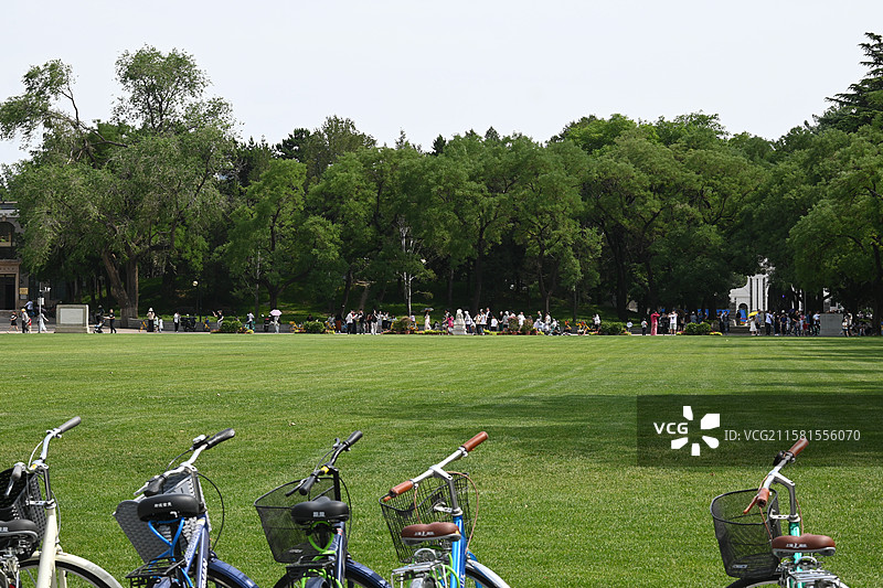 清华大学的草坪图片素材