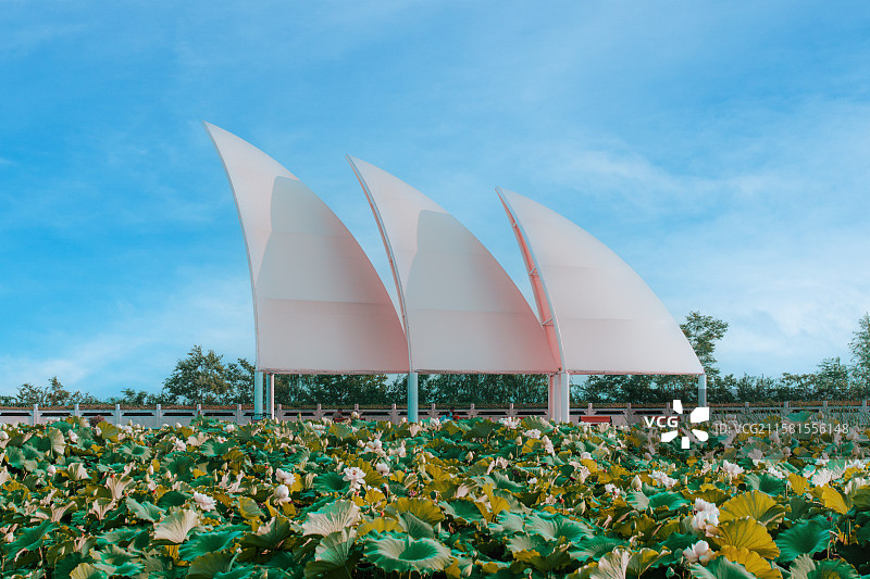 白龟湖风景区风帆广场图片素材
