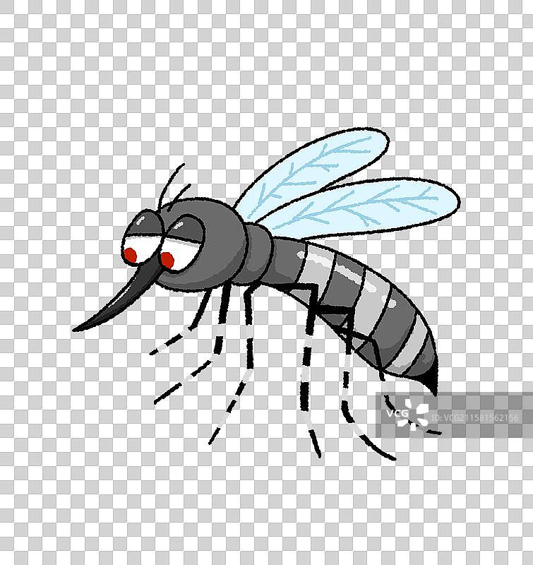 一只蚊子图片素材