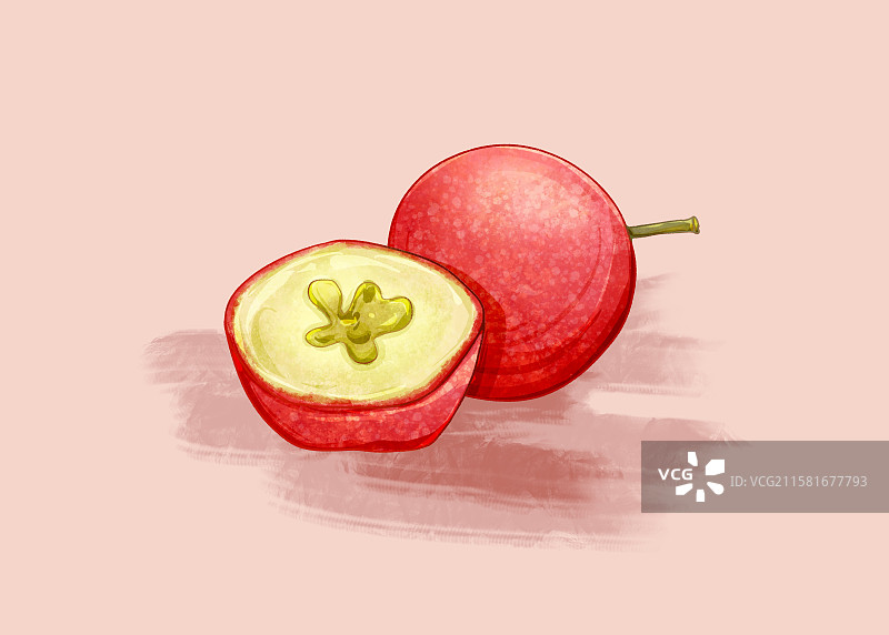 手绘水果插画山楂图片素材
