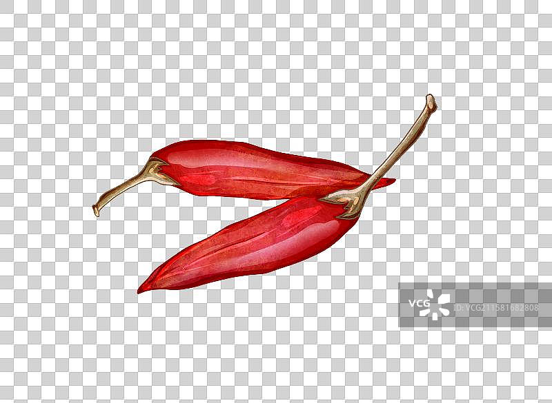 手绘药材调味料元素红辣椒小米辣图片素材