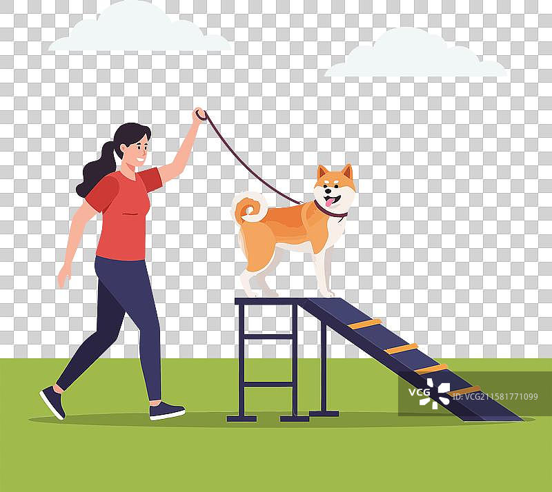 一位自信的女性正在引导她的狗进行敏捷训练。图片素材