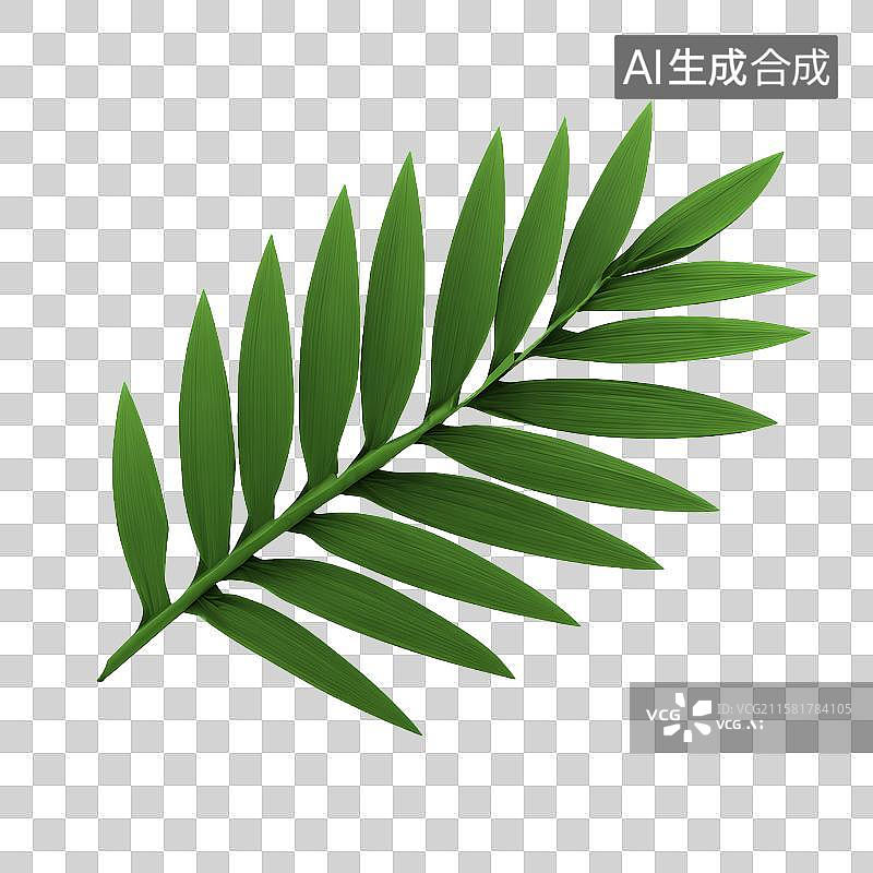 【AI数字艺术】绿色植物叶片特写图片素材