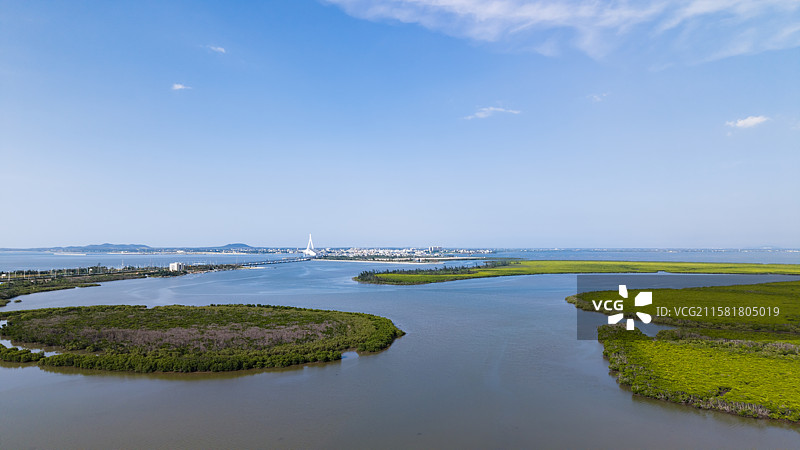 海口红树林湿地公园图片素材