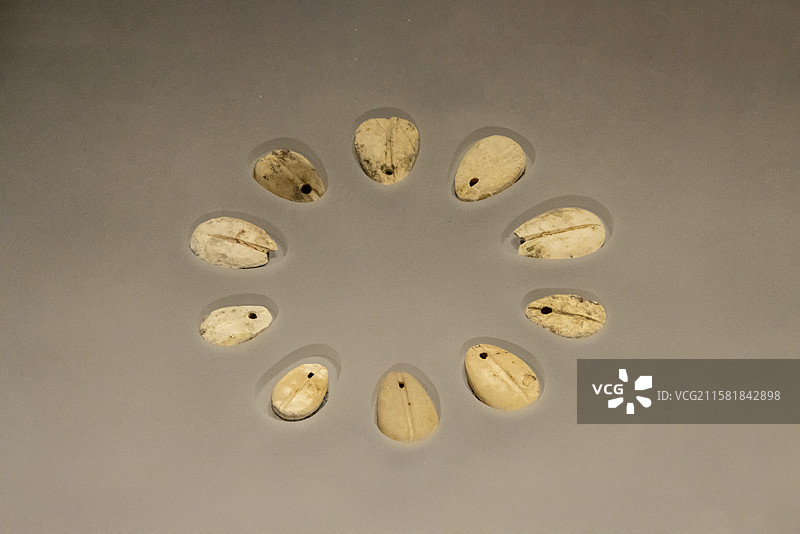 湖北省博物馆湖北古代文明展：子安贝饰（春秋早期，2015年枣阳郭家庙墓地曹门湾墓区1号墓出土）图片素材