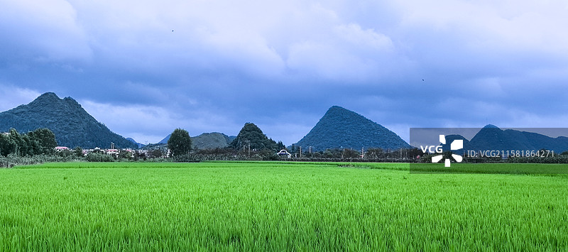 贵州稻田风光图片素材