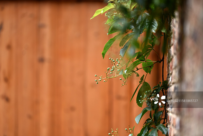 景德镇陶阳里历史文化街区图片素材